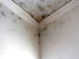 Best Residential Mold Inspection & Testing  in West Hurley, NY